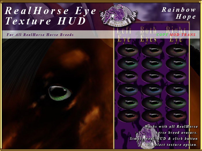 *E* RealHorse EyeTexture HUD [BOXED] Rainbow Hope