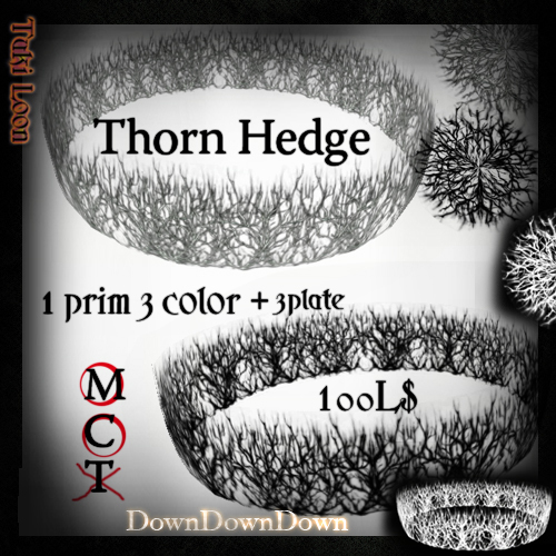 DDD_Thorn Hedge