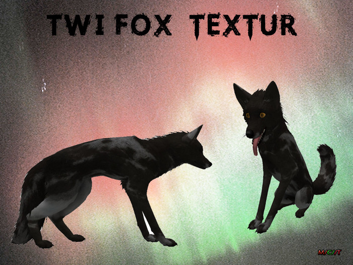SY TWI FOX base 05