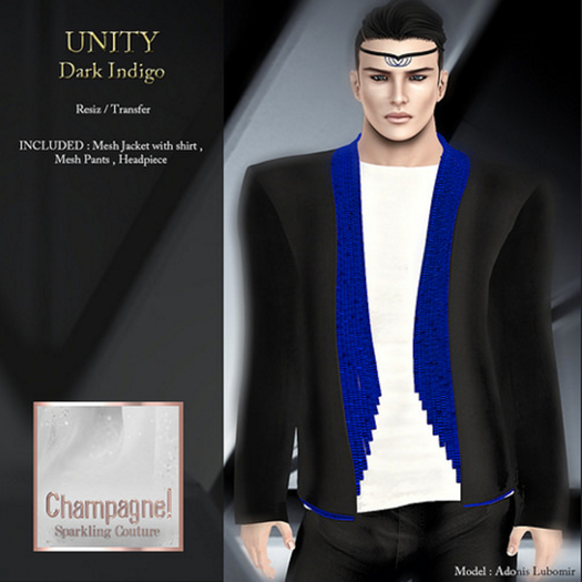 (C)UNITY Dark Indigo (Rezz me on ground)