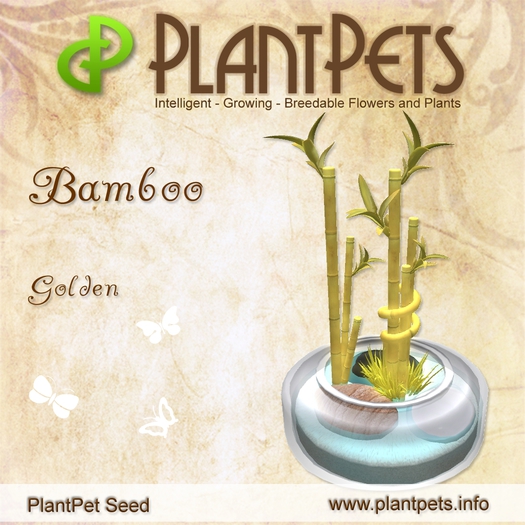 PlantPet Seed [Bamboo *Golden*]