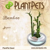 PlantPet Seed [Bamboo *Japan*]  common Release Day 1.3.2016