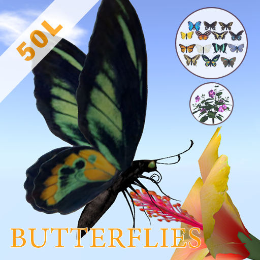 Butterflies with flowers ( roaming fly and sit on flower )