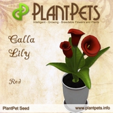 PlantPet Seed [Calla Lily *Red*]