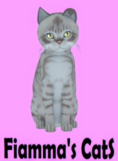 KittyCatS Box - Australian Mist - Blue Marble