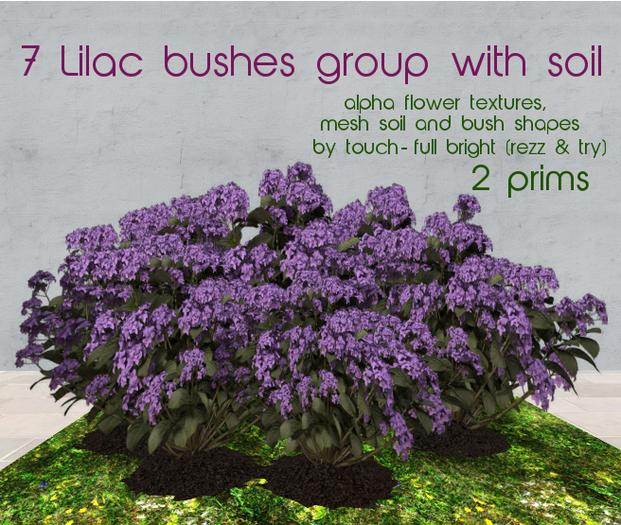 :Ru Season: 7 lilac bushes group