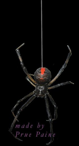 Spider