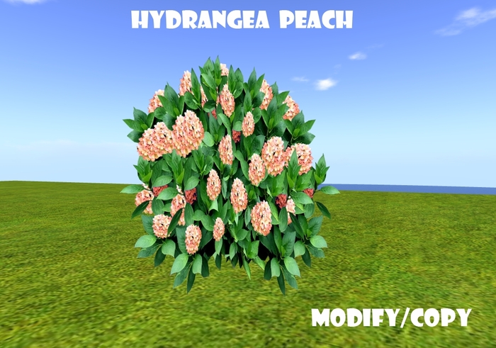 Hydrangea Peach (Flexi)