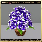 LW_ Rose Topiary - 3