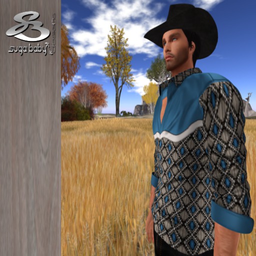 SB1864B  Western Paisley Shirt Red