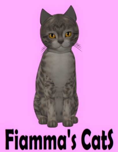 KittyCatS Box - Bengal - Snow