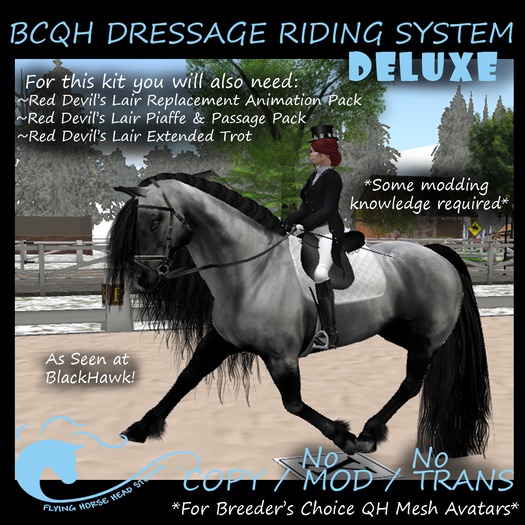 ~FHHS~  BCQH Deluxe Dressage System