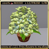 LW_ Rose Topiary - 17