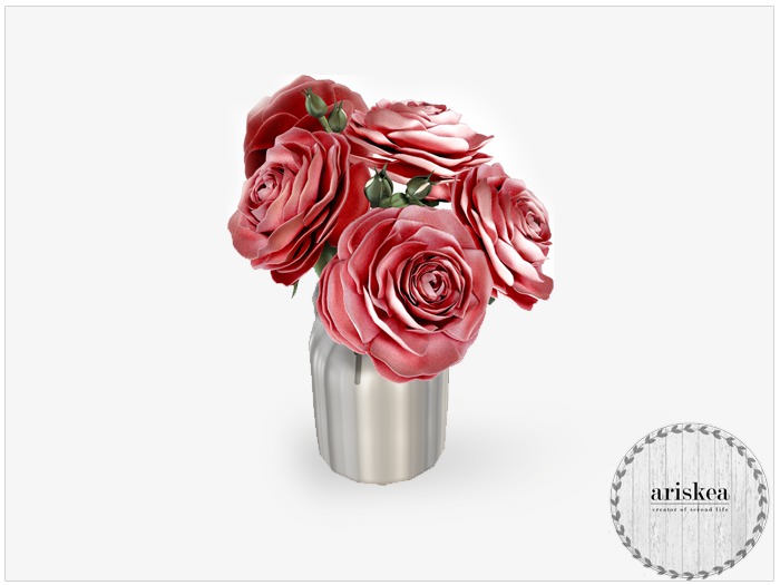 Ariskea[Nordica] Hybrid Roses Cherry