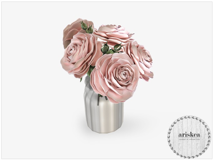 Ariskea[Nordica] Hybrid Roses Peach