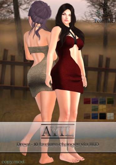 .PoshTale. Ayil Dress [wear to unpack]