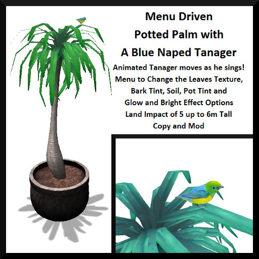 Menu Driven Potted Palm with A Blue Naped Tanager - Boxed