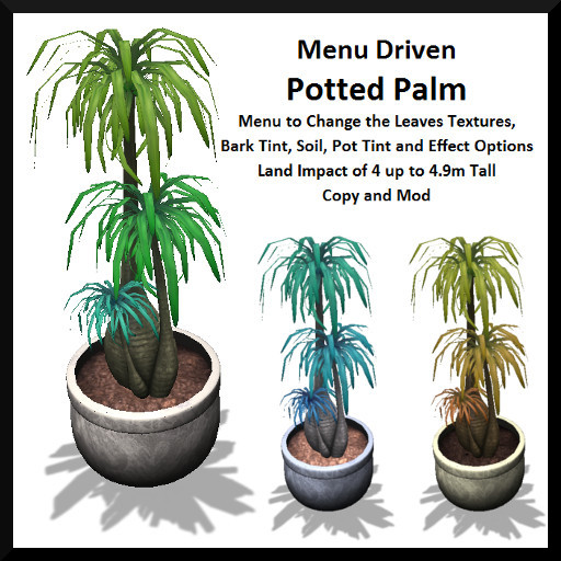 Menu Driven Potted Palm 