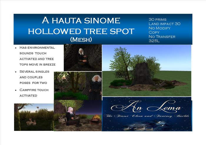 A hauta sinome hollowed tree spot