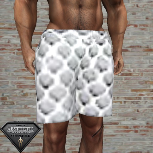 PRo Shop Aesthetic Sport Shorts Fishnet