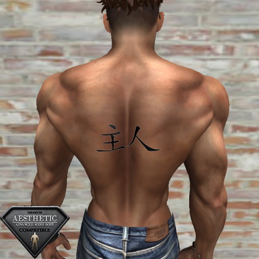 PRo Shop Aesthetic Tattoo Applier - Master