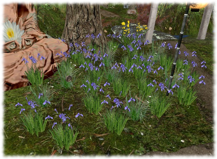 TC - Japanese Iris Patch Blue