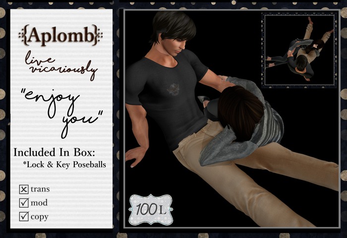 .:{Aplomb Bag}:. Enjoy You (Bagged)