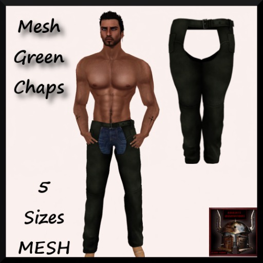 MESH GREEN CHAPS