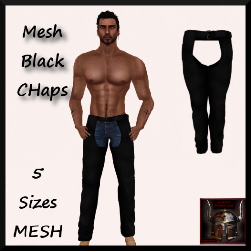 MESH BLACK CHAPS