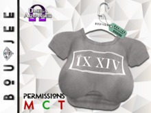 Boujee - IX.XIV Crop Tee (GRY)