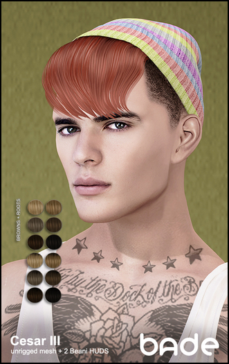 [bade] Cesar III BROWNS