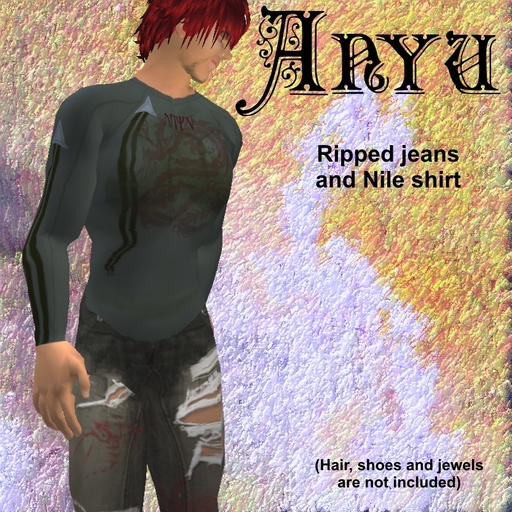 ANYU Ripped Jeans and Nile shirt