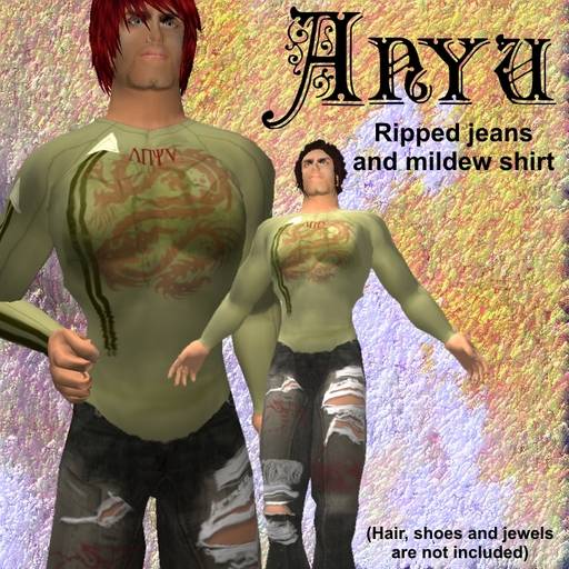 ANYU Ripped Jeans and Mildew Shirt
