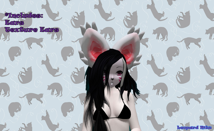 *[ Leopard Miw ]*  Big ears