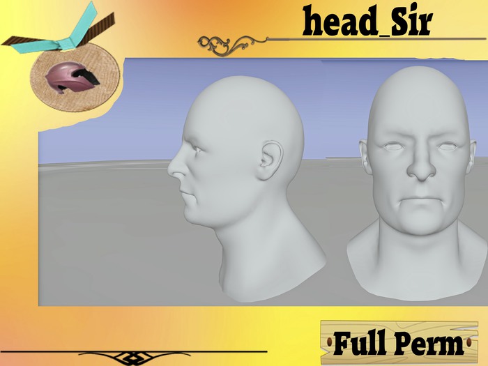 head_Sir