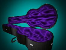 {PpP Busker Guitar Case Tipjar GreenHarlequin(WEAR or REZ)