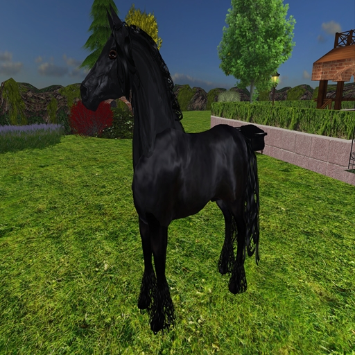 CAVALO PRETO