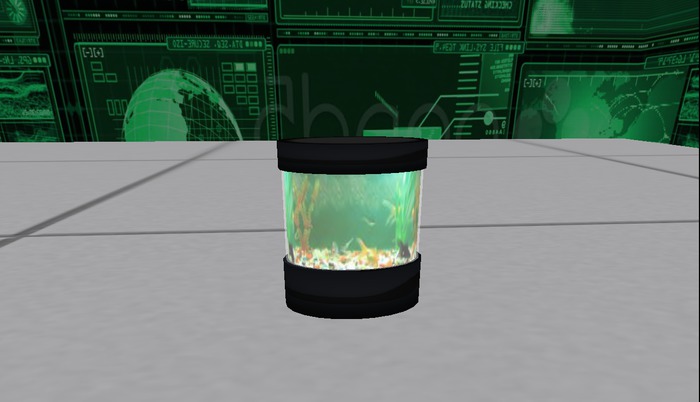 small fish aquarium