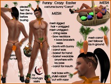 Funny crazy easter sexy mesh costume bunny carrot ,thong unrigged , carrot blinking eyes , hair rigged , basket