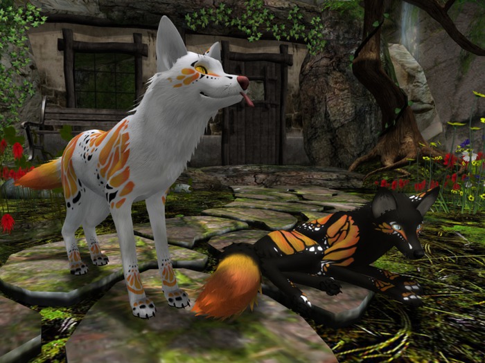 TNT: Fly Away Mod Orange 