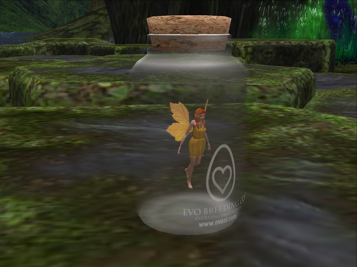 EVO*MC Fairy - #0251 Korae (Mythical) Ver.2014R