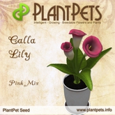 PlantPet Seed [Calla Lily *Pink Mix*]