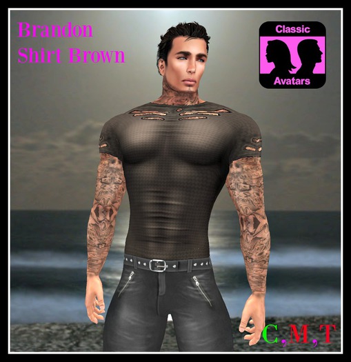 (LL) Brandon Shirt Brown (CLASSIC) Boxed