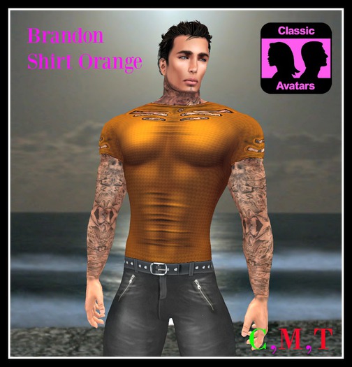 (LL) Brandon Shirt Orange (CLASSIC) Boxed