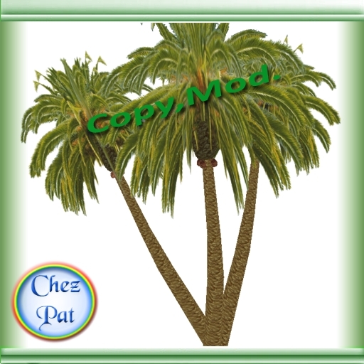 Palmier et noix de coco Compo Box