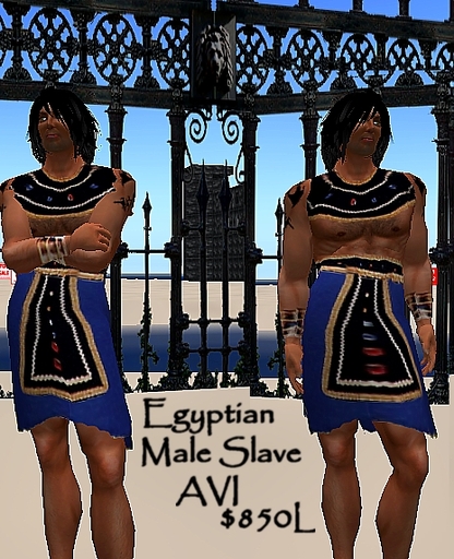 Egyptian Male  AVI Boxed