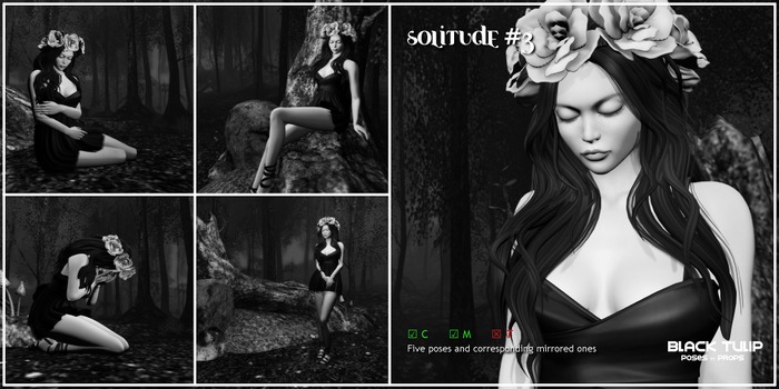 [Black Tulip] Solitude