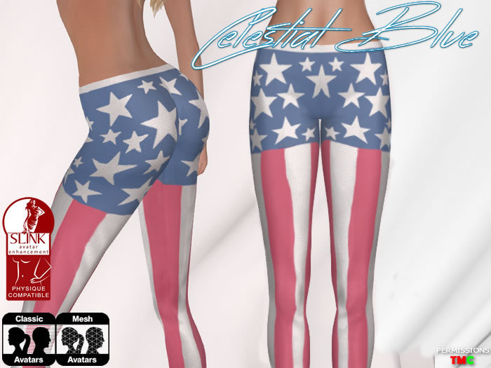 CelestialBlue - USA Leggings - Classic & Slink Applier