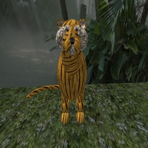 Bengal Tiger Elite Boxed Set