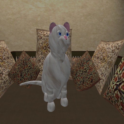 Big White Fluffy Cat Boxed Set